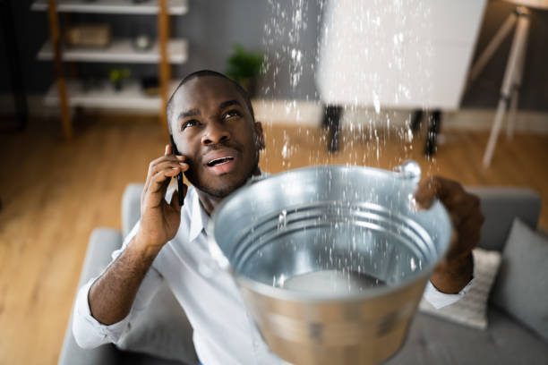 Trusted Water Damage Restoration in Spring City, TN | Fast, Reliable, and Ready to Assist You